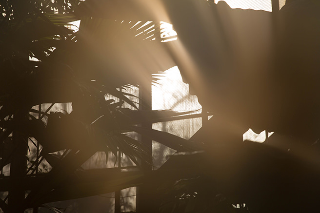 Evening light into a conservatory Evening light into a conservatory