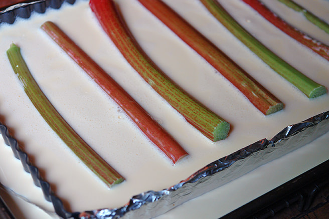 Sticks of rhubarb in custard
