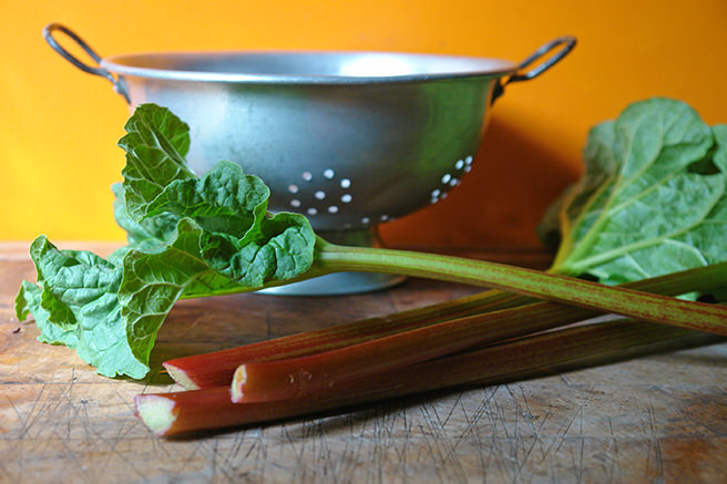 Stalks of rhubarb with metal colander