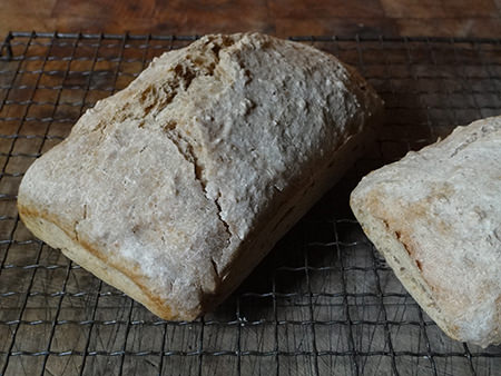Two Roman bread loaves