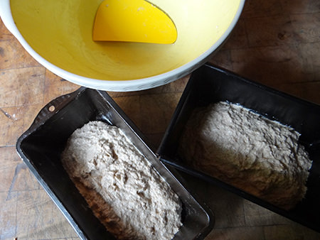 Roman bread dough in loaf tins