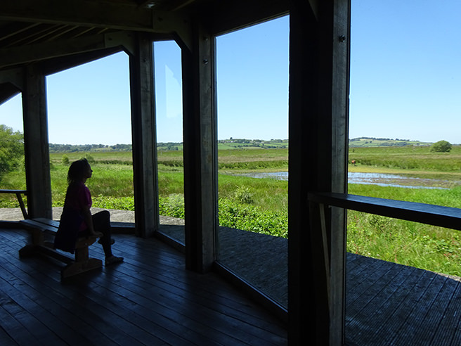 Hide along the Cors Caron raised bog boardwalk
