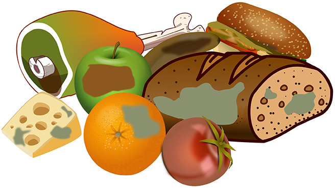 Illustration of rotting food