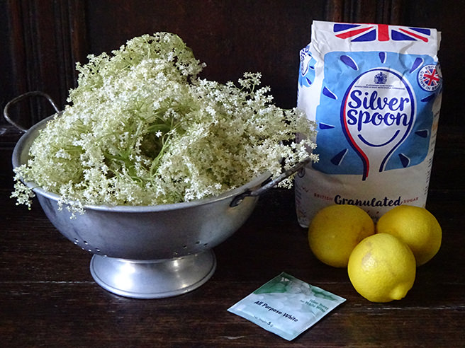 Elderflower champagne ingredients