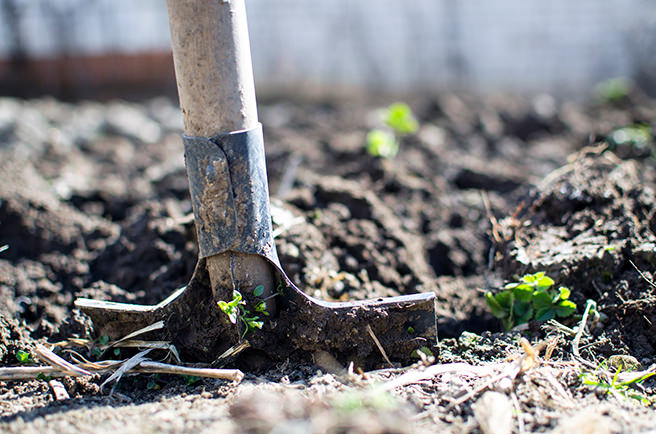 garden spade in the ground