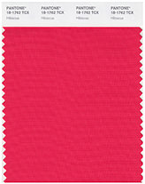 Swatch of Pantone's 'Hibiscus'