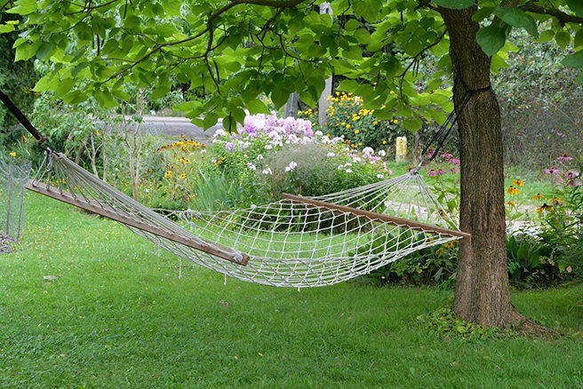 Hammock in a garden