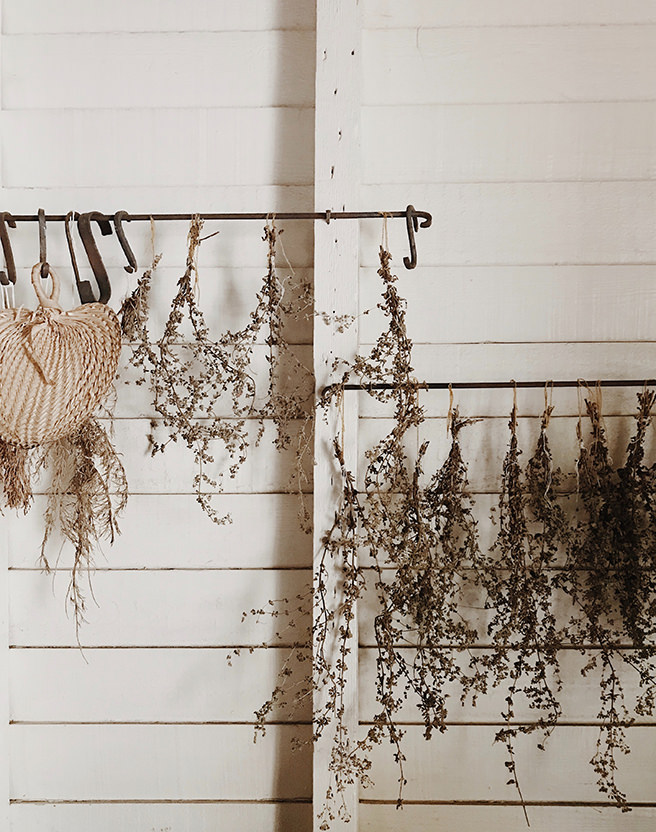 Sprigs of herbs hanging out to dry