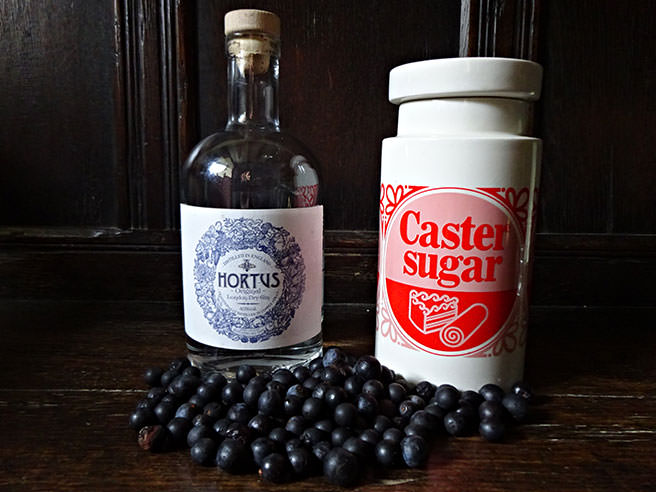 Simple sloe gin ingredients