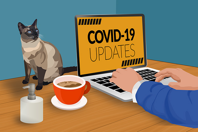 Working from home illustration
